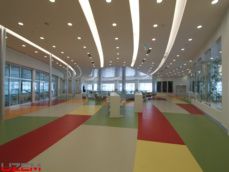 Türkmenistan Aşkabat Olimpiyat Spor Salonu PVC zemin kaplama – renkli vinil döşeme uygulaması